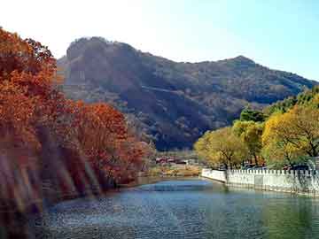 新澳天天开奖资料大全旅游团，油锯配件